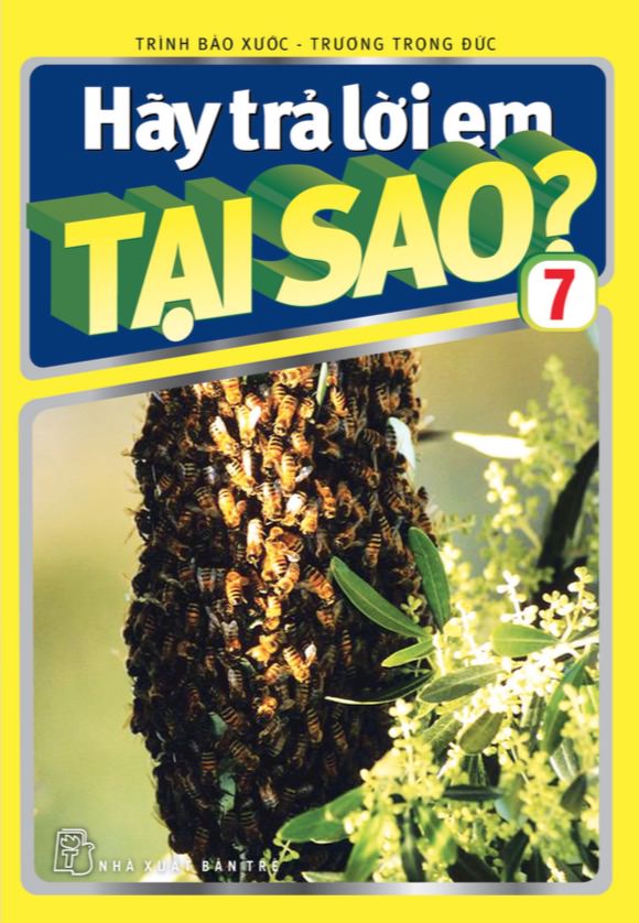 Hãy Trả Lời Em Tại Sao? – Tập 07